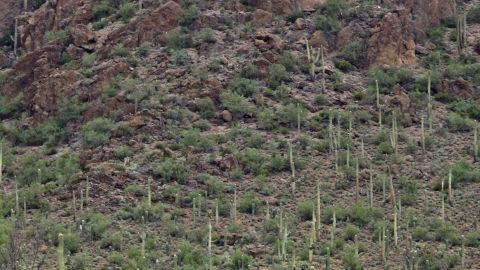 Marana council rejects Lazy K development plan